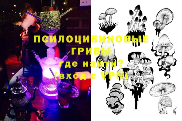 молекула духа Болотное