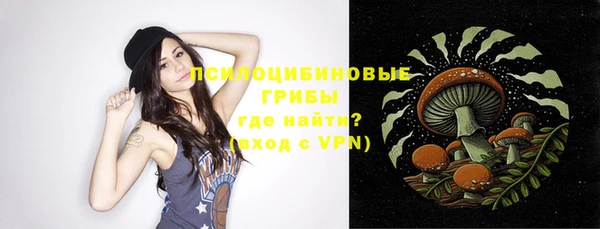 хмурый Болохово