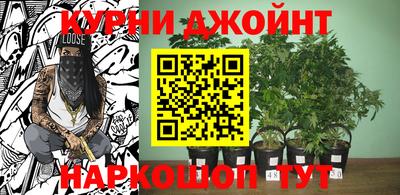 тгк Балаково