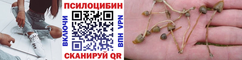 Галлюциногенные грибы мицелий цены Симферополь