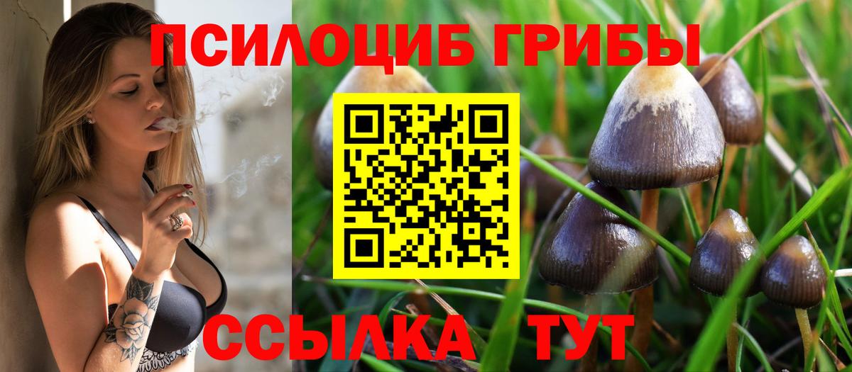 Псилоцибиновые грибы GOLDEN TEACHER Симферополь