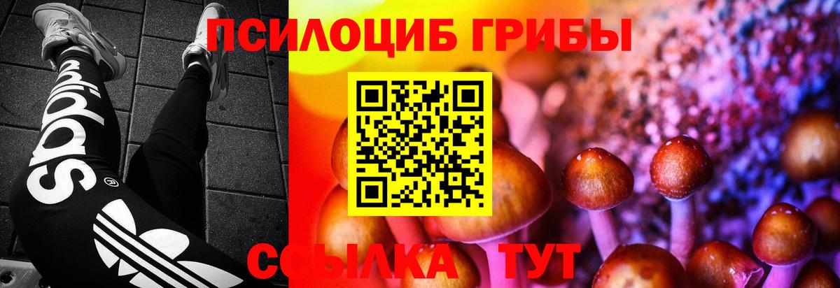 Псилоцибиновые грибы Psilocybe  Симферополь 