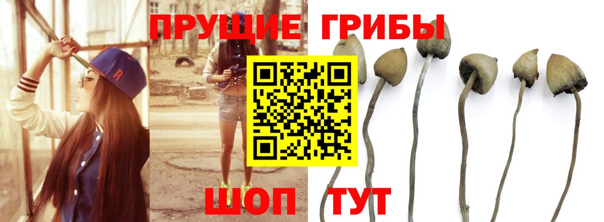 Псилоцибиновые грибы прущие грибы  Вход с VPN  Симферополь 